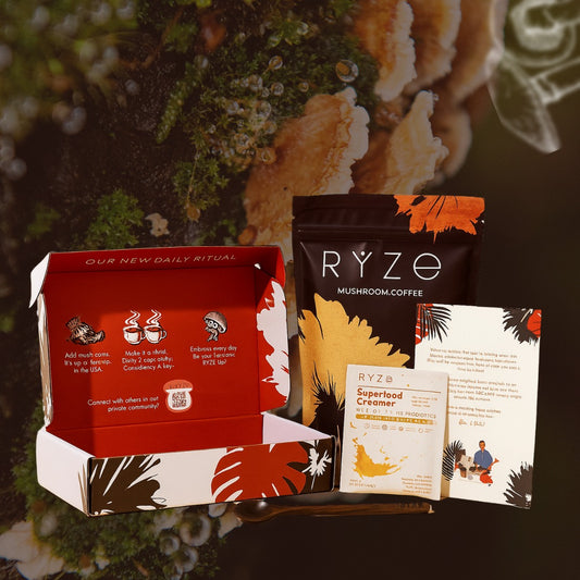 Gray helmet for bikers