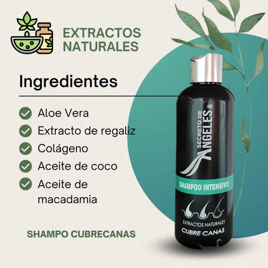 Bye Bye Canas™ | Shampoo Cubre Canas Secreto de Angeles +OBSEQUIO + ENVIO GRATIS 🔥